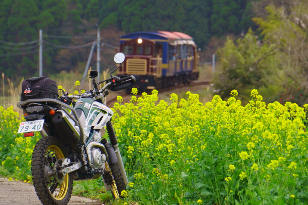 トロッコ列車とバイク
